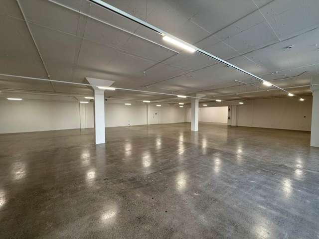 34 Dacre Street Eden Terrace_3