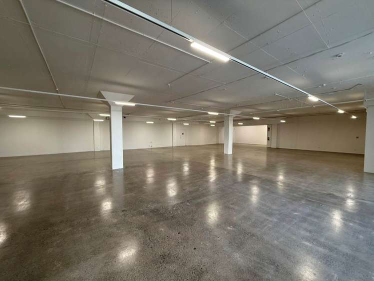 34 Dacre Street Eden Terrace_3