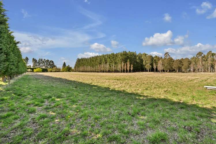 157 Karanga Road Dunsandel_10