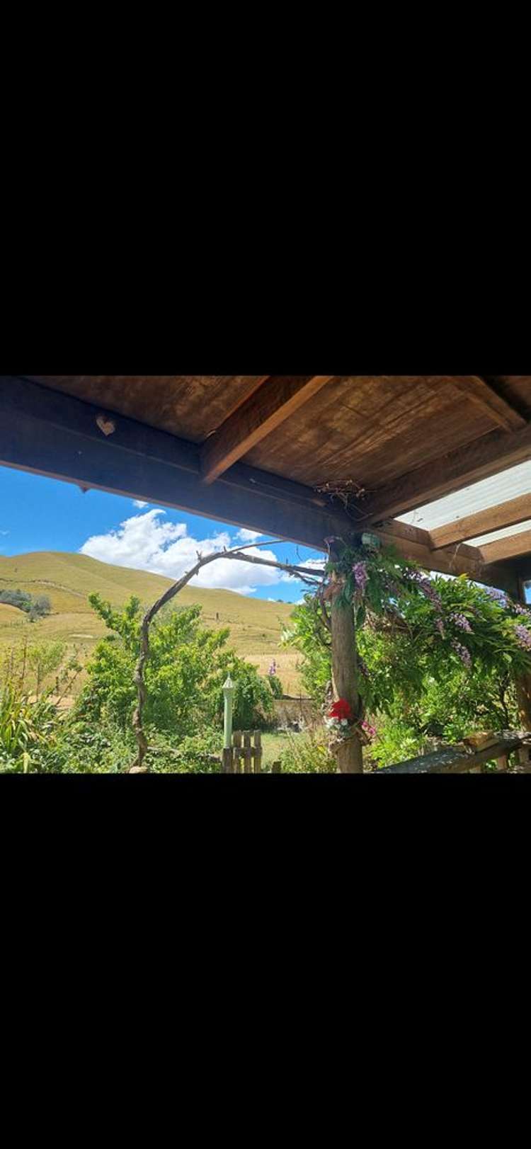 956 Thorpe-Orinoco Road Thorpe_4