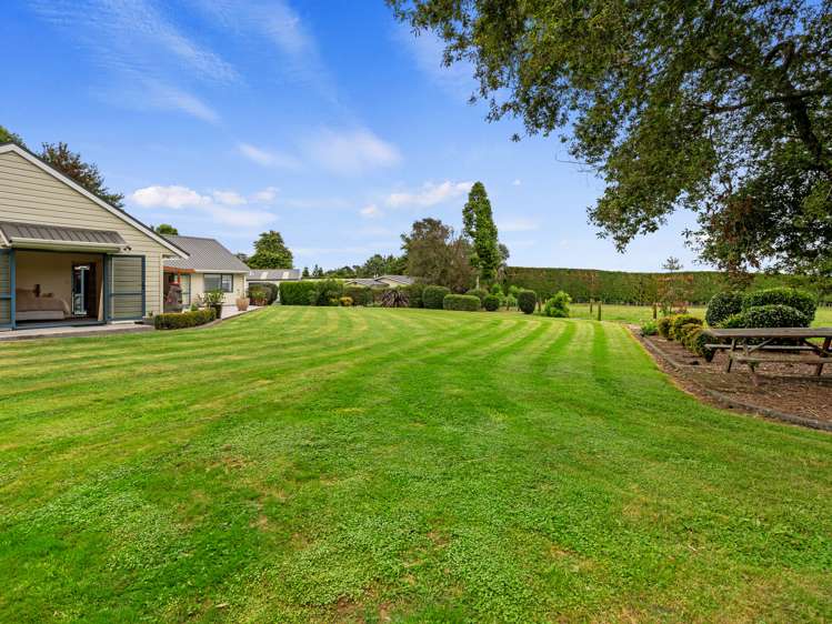 573b Mclaren Falls Road Kaimai_30