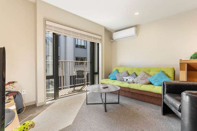 3 Dovedale Place Parnell_2