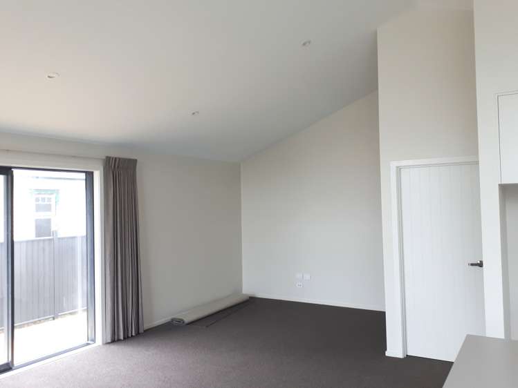 435 Tweed Street Georgetown_7