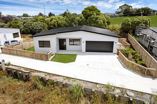 9-11 Albert Street Otahuhu_3