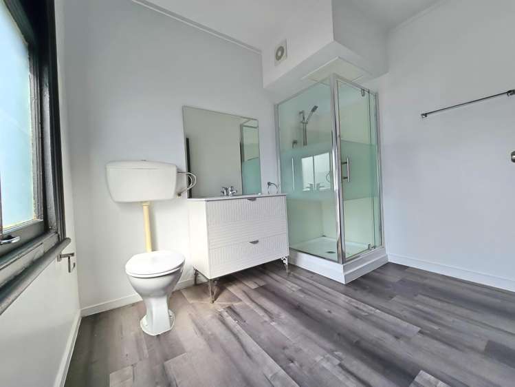 224 Dominion Road Mt Eden_6