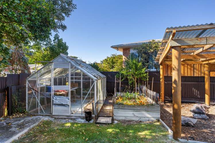 41 Lupin Road Otaki_16