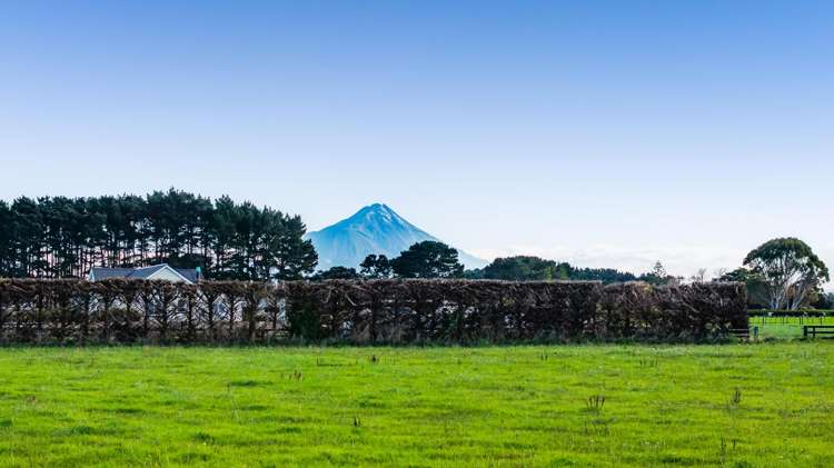 84 Mawhitiwhiti Road Normanby_19