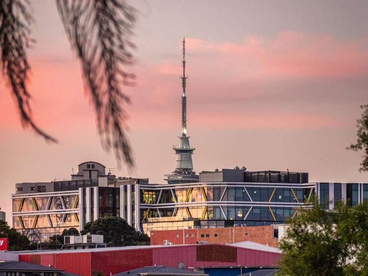 8/82 Bassett Road Remuera_20