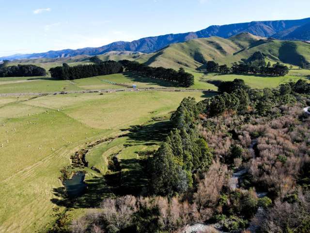 Lot 2/9 Tamaki East Road Dannevirke_2