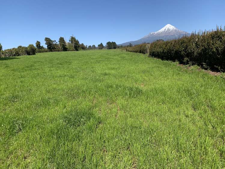 2442 Mountain Road Tariki_0