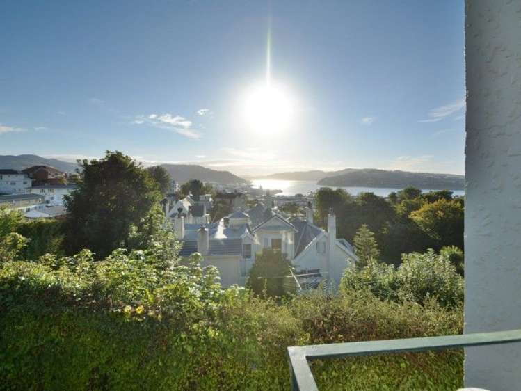 4h Alva Street Dunedin Central_8