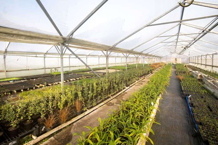 50 Barkers Road Kaiapoi_19