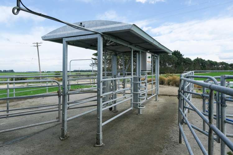 38 Williams Road Eiffelton_10