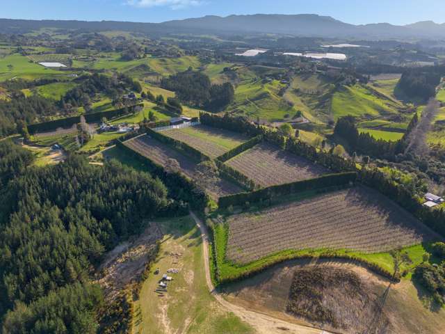 Big views, big shedding with kiwifruit income