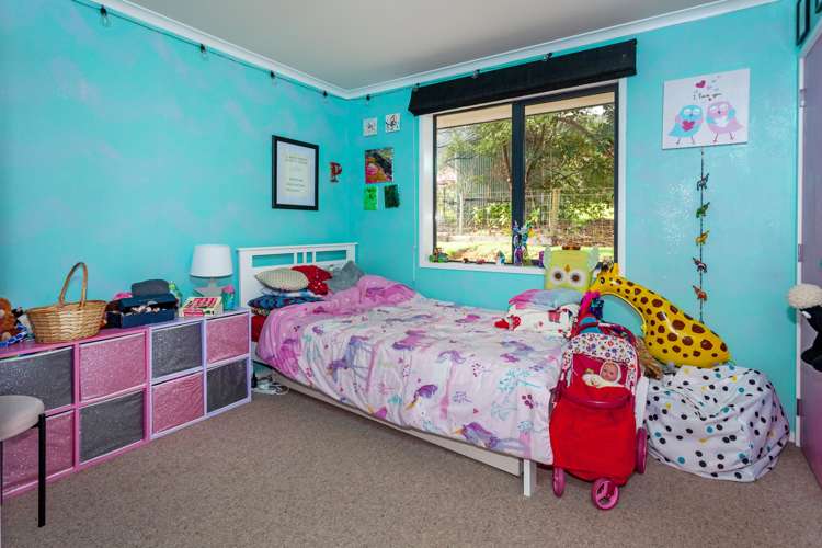 150 Beech Lane Coromandel_15