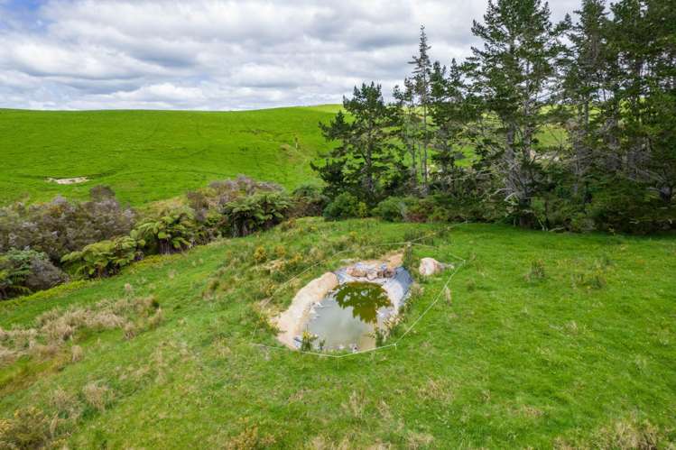 183A Wiroa Road Kerikeri_14