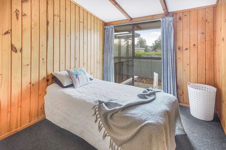 4b Oliver Street Kihikihi_11