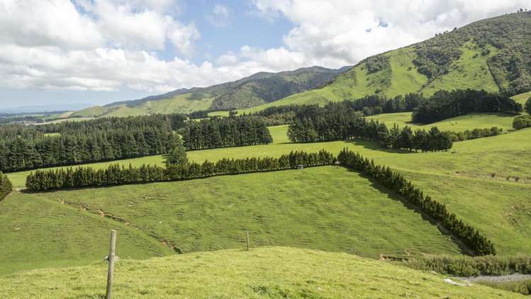 189 Thorburn Road Dannevirke_8