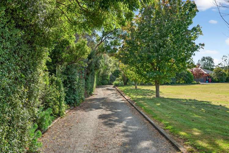 33 New York Street Martinborough_21