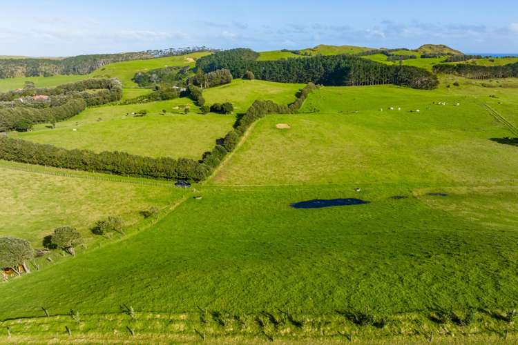 386 Rehutai Road Dargaville Surrounds_7