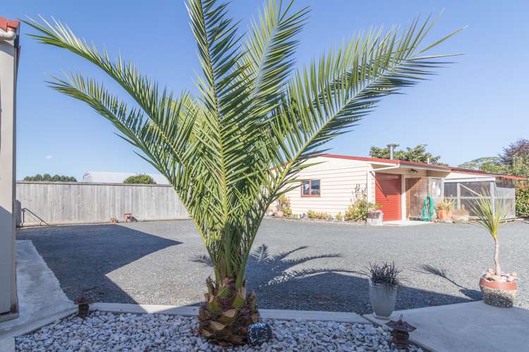 58a West Street Morrinsville_14