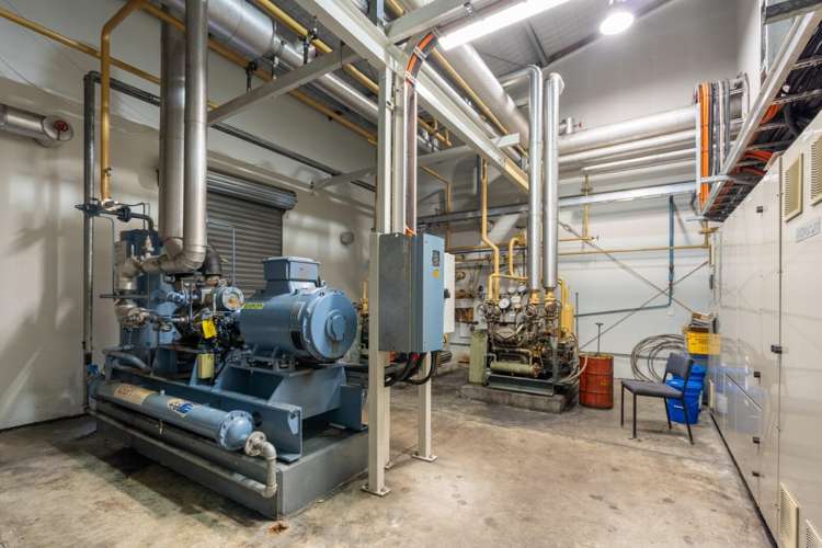 10b Maleme Street Greerton_13