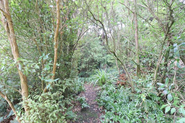 16 Watt Road Otatara_24