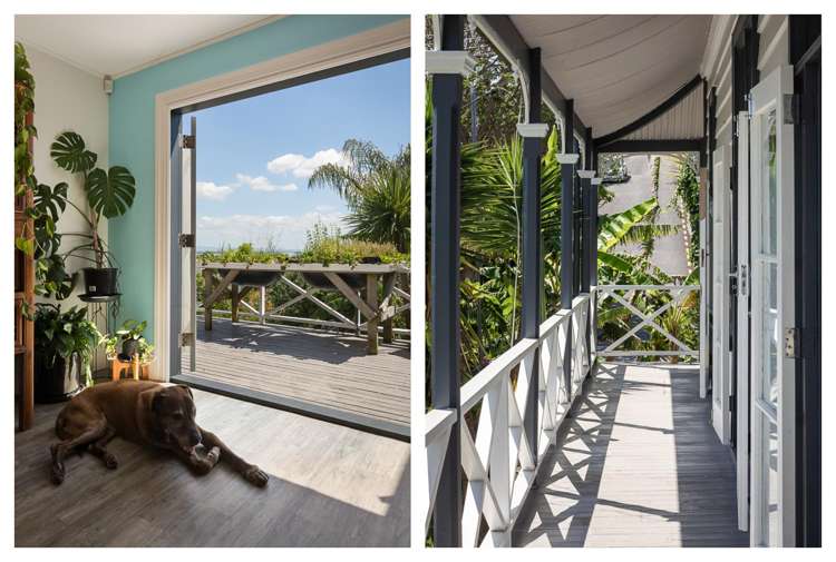 504 Sealey Street Thames_13