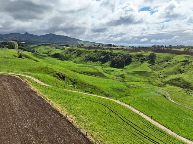 143 Waimanu Road Te Awamutu_4