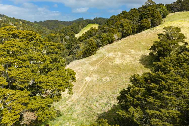 347 Taraunui Road Parua Bay_29