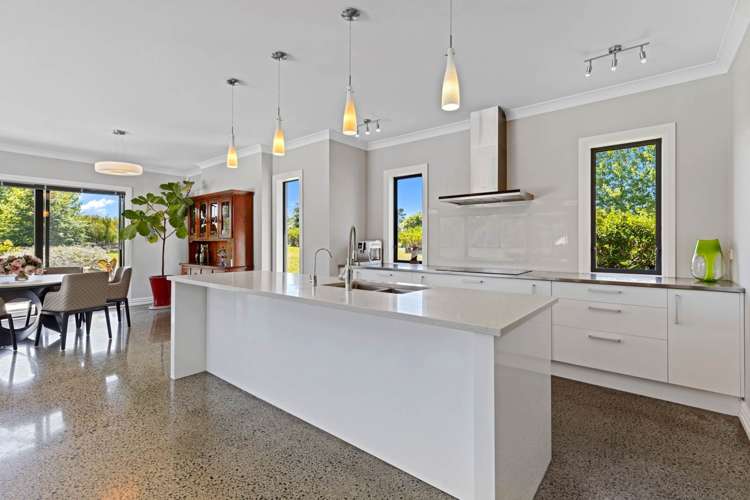 166J Postman Road Dairy Flat_17