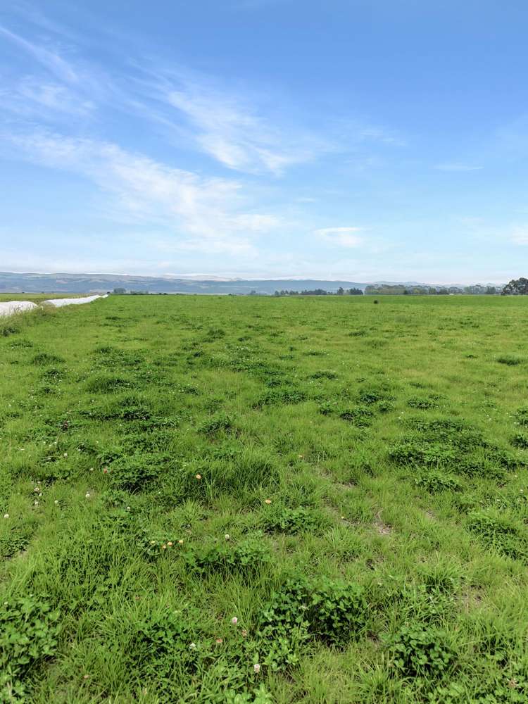 126 Happy Valley Road Herbert_30