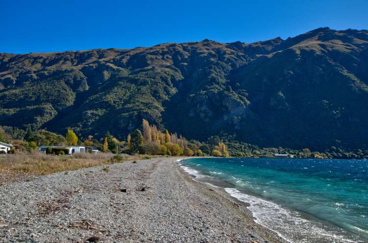 24 Cornwall Street Kingston_16