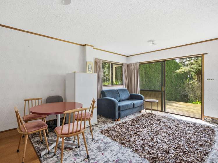 50 Turntable Hill Road Whakamarama_21