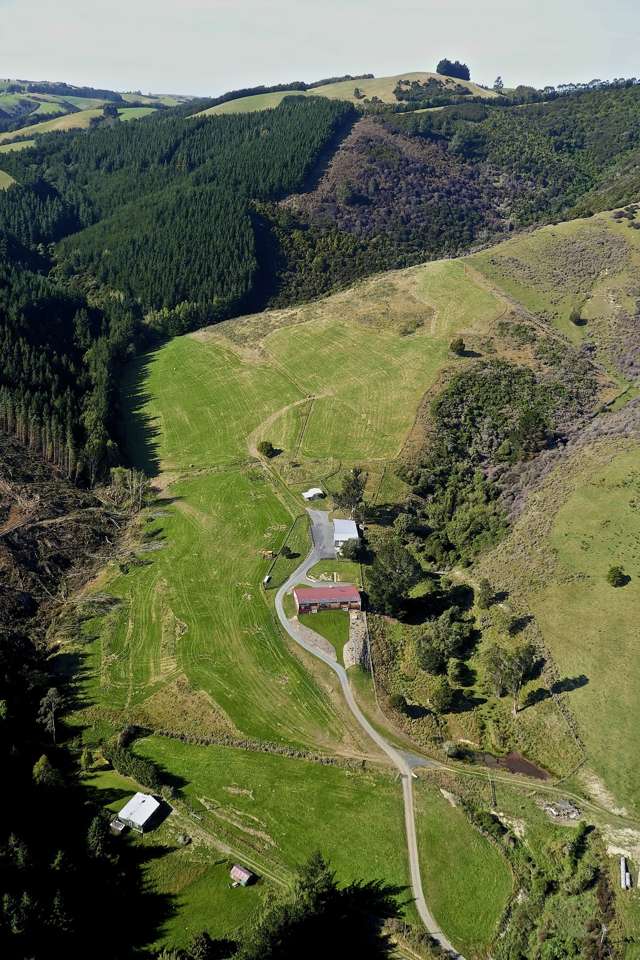 73 Fegan Road Milton_1