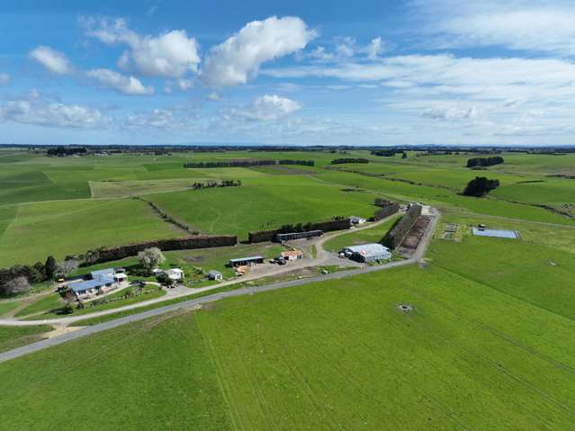 1347 Rimu Seaward Downs Road Seaward Downs_4