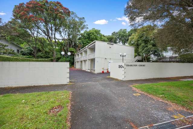 Sunny One Bedroom Studio In Mt Eden