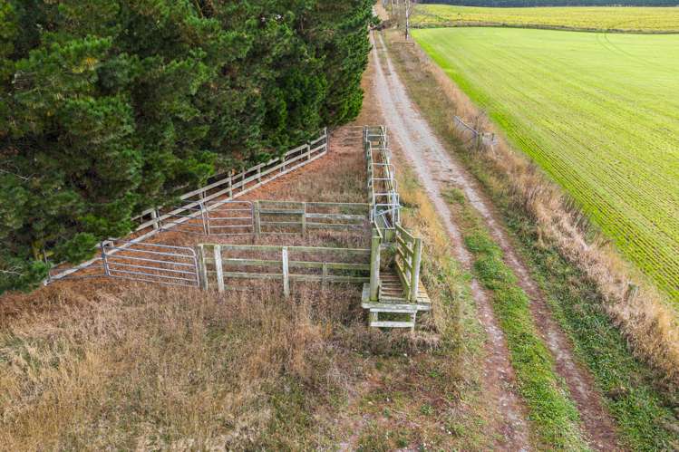 575 Thompsons Track Rakaia_8