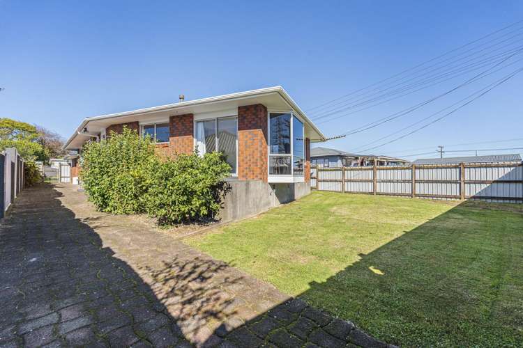 12 Saxton Road Upper Vogeltown_23