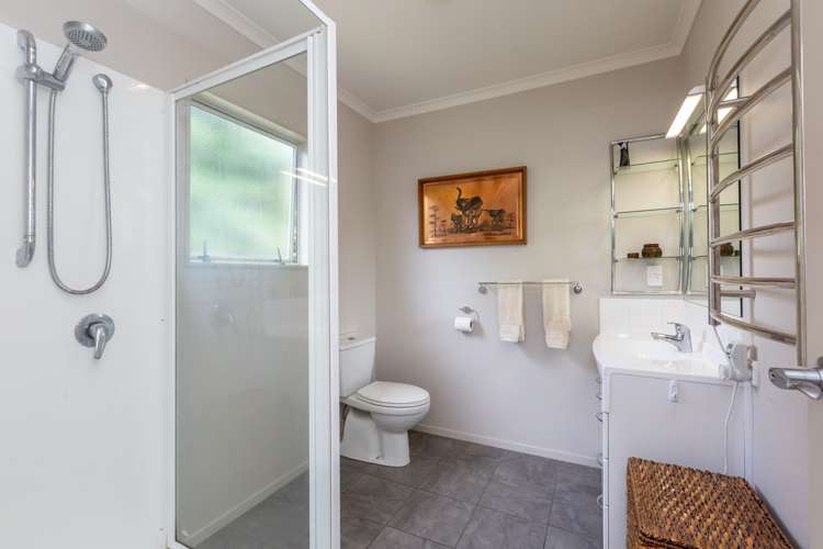 87a Avondale Road Greenmeadows_14