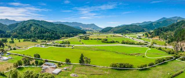 Dairy Grazing and Supplements