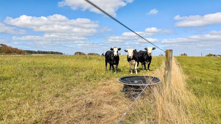 3125 State Highway 1 Sanson_14