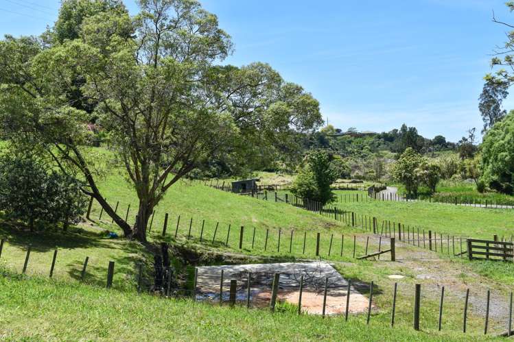 26 Hammond Street Hairini_5