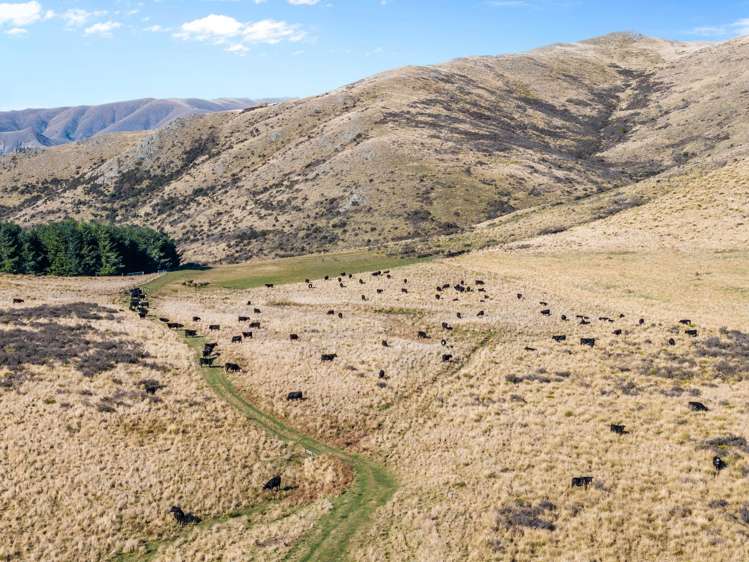 495 Haldon Road Lake Tekapo_28
