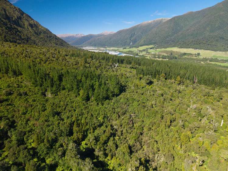 Bell Hill Road Inchbonnie_17