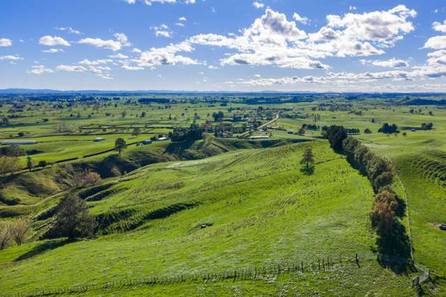 363 Grice Road Rotoorangi_4