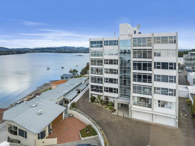 1/8 Elizabeth Street Tauranga_1