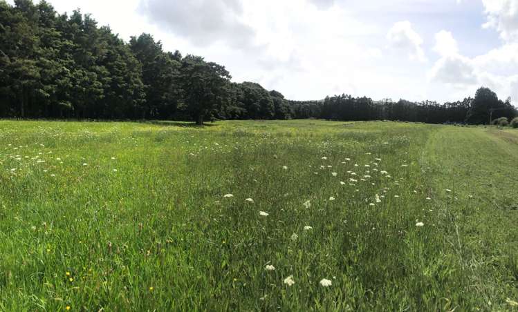 793 Whangaripo Valley Road Whangaripo_31