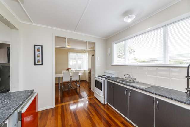 16 Milton Street Roslyn_4