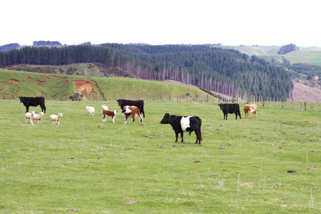 820 Rangitatau West Road Waitotara_4